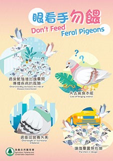 Don't Feed Feral Pigeons Poster