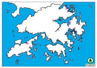 maps