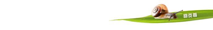 回页首