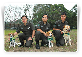 漁農自然護理署年報 - Agriculture, Fisheries and Conservation Department Report