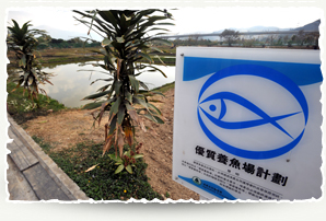 Accredited Fish Farm