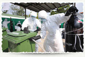 Avian influenza drill