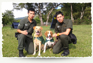 Quarantine Detector Dogs