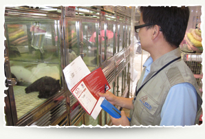 Inspection of licensed pet shop