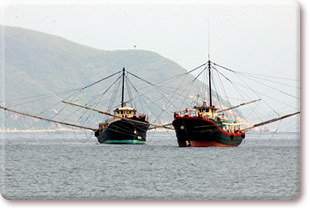 Shrimp trawler