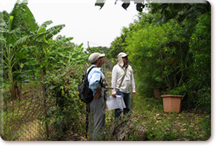 Crop assessment