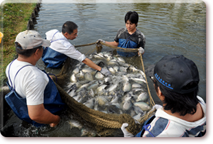 Fish farm