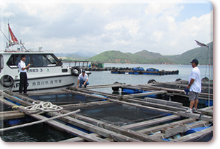 Regular patrol of fish culture zones