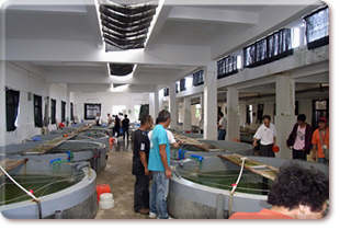 Promoting good aquaculture practice