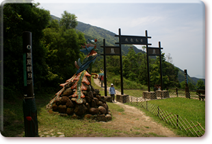 Fun Walk on Lantau