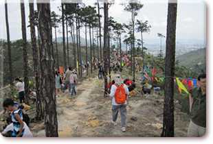 Tree planting activity