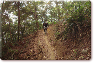 New section of Ho Pui Section Mountain Bike Trail