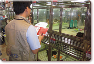 Inspection of licensed pet shop
