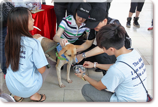 Pets Adoption Day