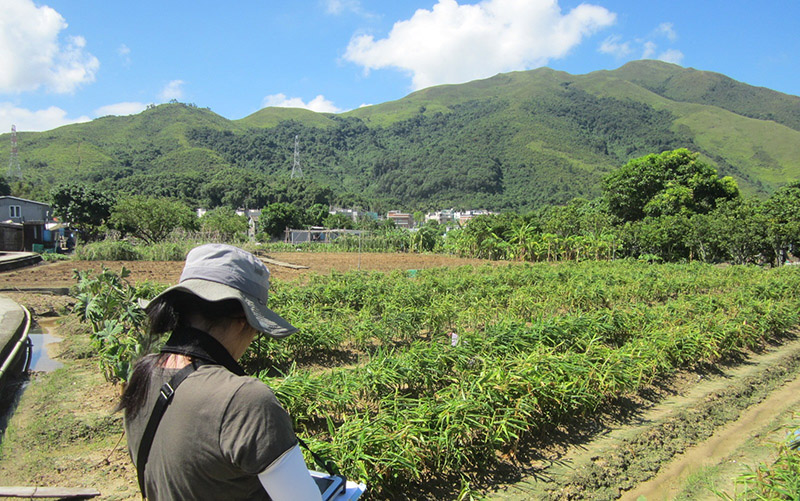 Local Vegetable Farm Voluntary Registration Scheme