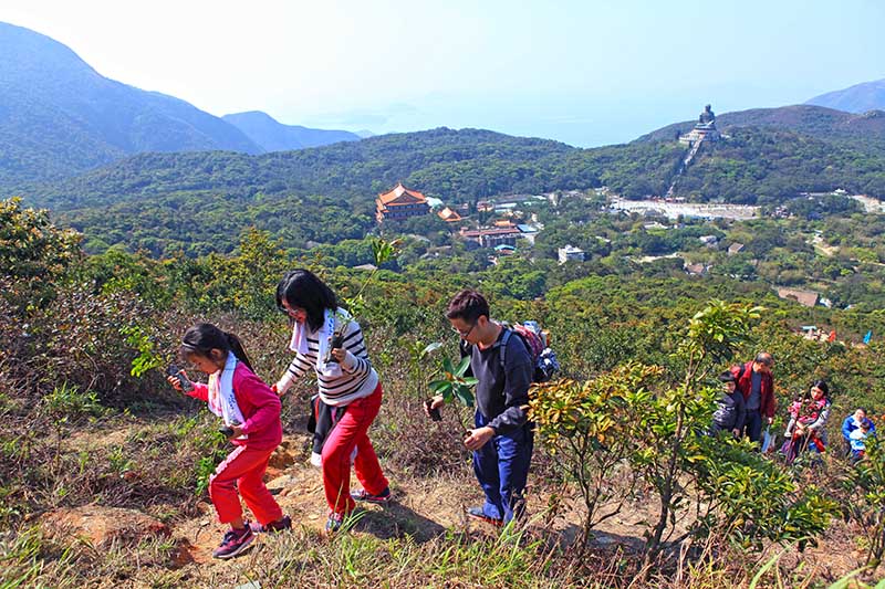 郊野公园远足植树日 郊野公园远足植树日 Hiking and Planting Day