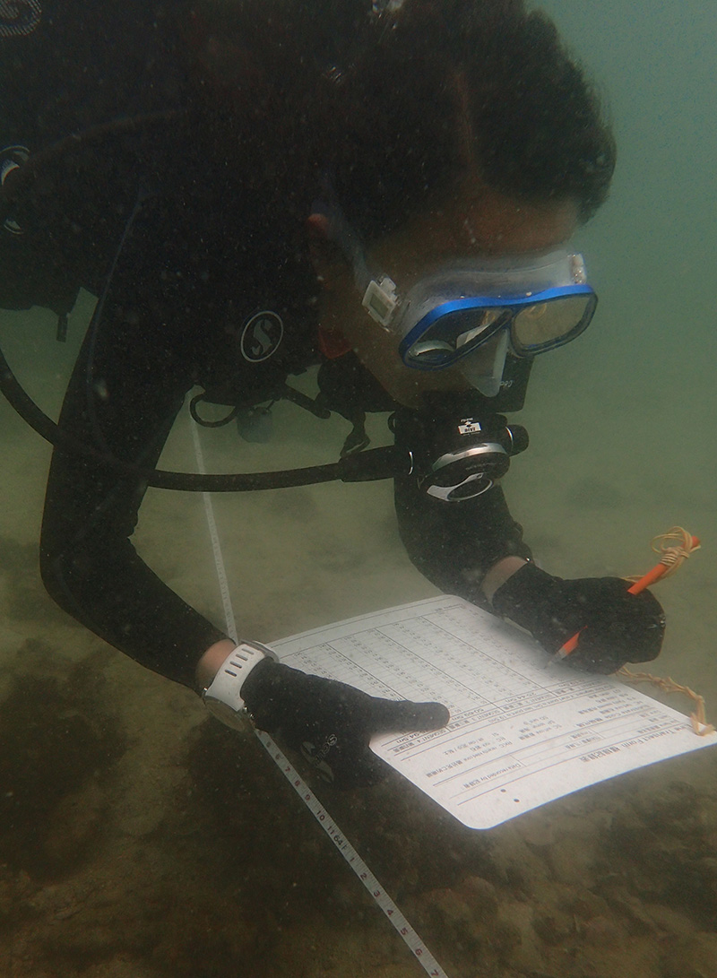 義務潛水員參與香港珊瑚礁普查Volunteer divers participating the Hong Kong Reek Check.