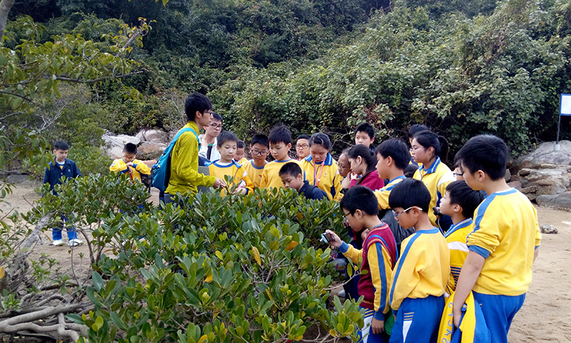 教育导赏活动 教育导赏活动 Guided educational activity