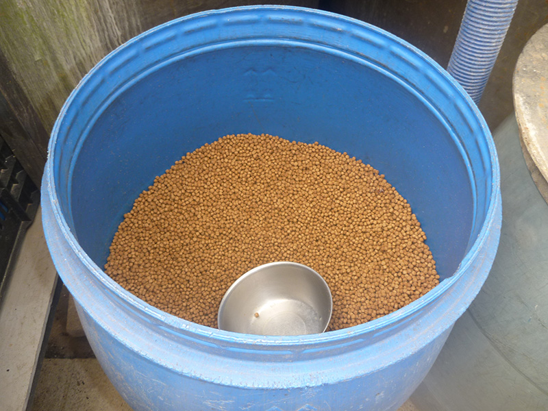 顆粒魚糧 Pellet feed