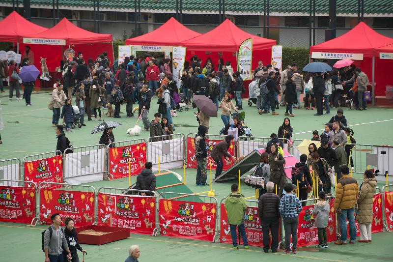 狗狗領養嘉年華 Dog Adoption Carnival