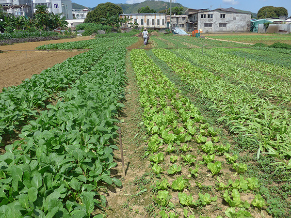 Organic farming