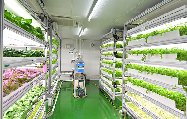 Hydroponics