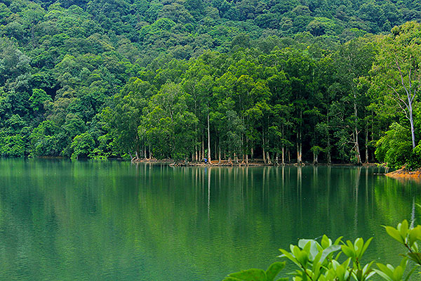 Shing Mun Country Park