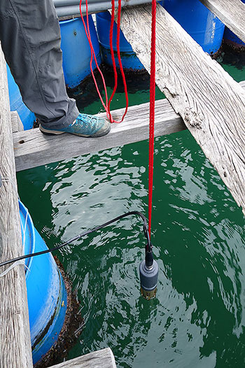 在魚類養殖區的實時水質監測系統