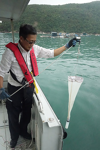 在红潮形成前主动监测浮游植物