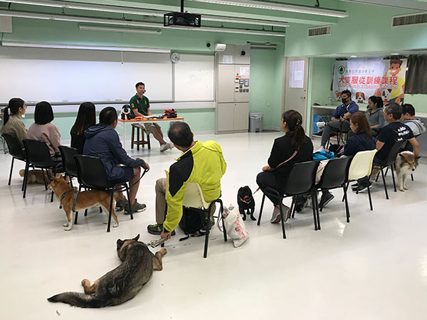 Dog training courses