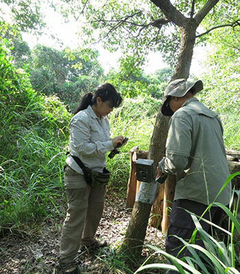 Ecological survey