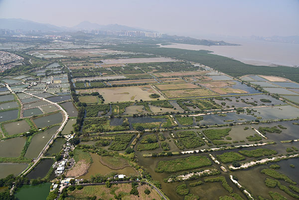 米埔內后海灣拉姆薩爾濕地