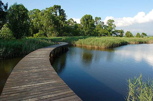 Inside Wetland Park