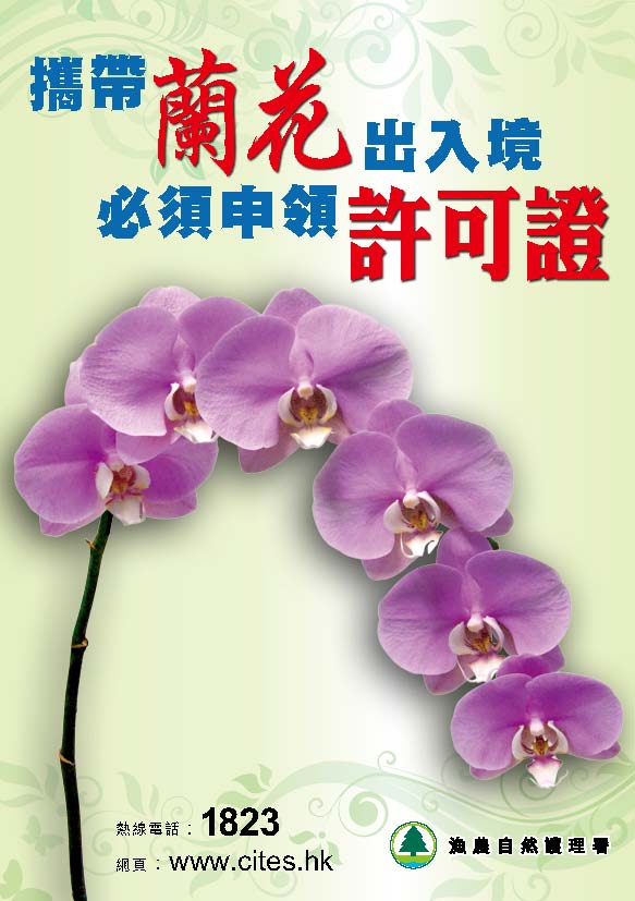 小冊子及單張 -攜 帶 蘭 花 出 入 境 必 須 申 領 許 可 證