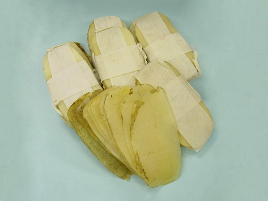 Gastrodia elata
