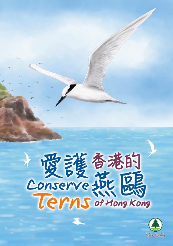愛護香港的燕鷗