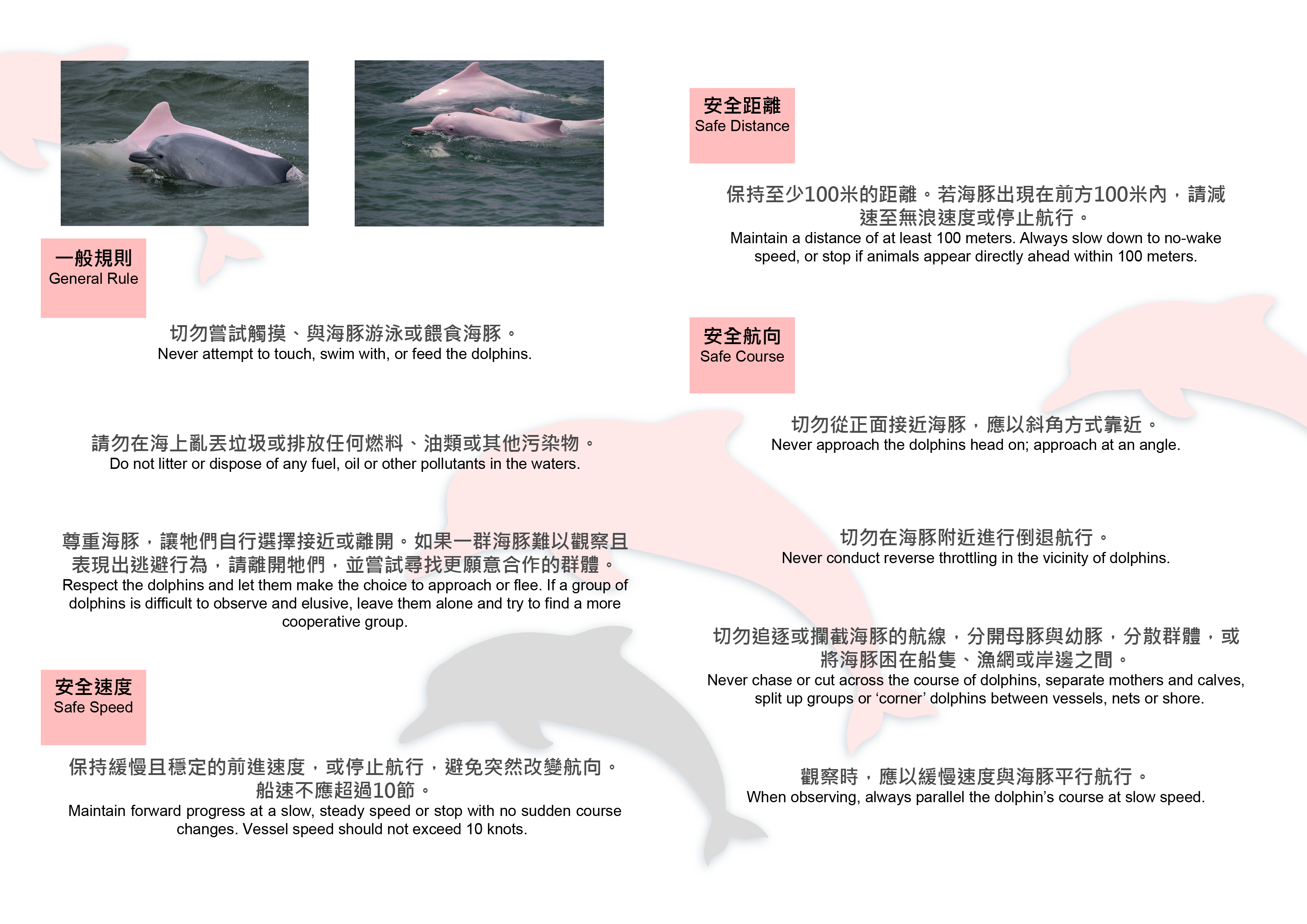 漁農自然護理署- 自然護理- 海洋護理- 中華白海豚- 中華白海豚- 觀豚