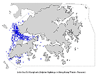  在 夏 季 的 分 佈 