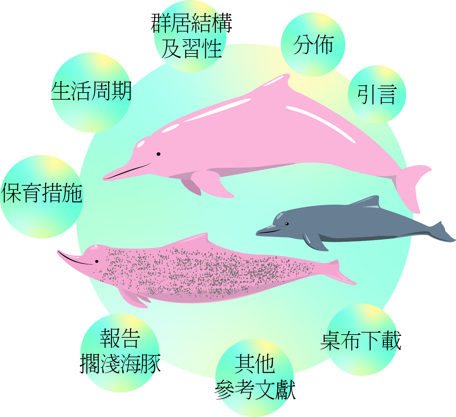 中华白海豚