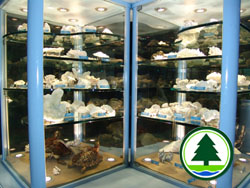  科 学 数 据 库 2