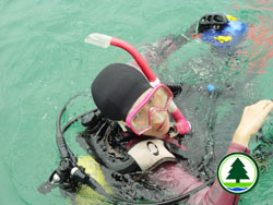  监 察 和 研 究 2