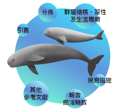  江 豚 