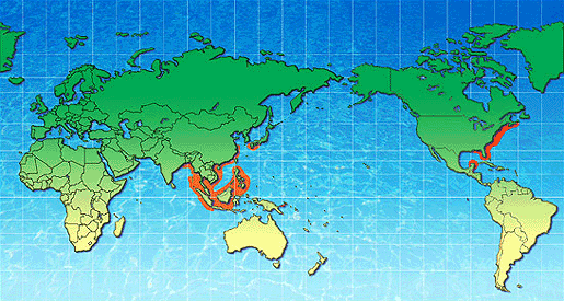 馬 蹄 蟹 的 全 球 分 佈 
