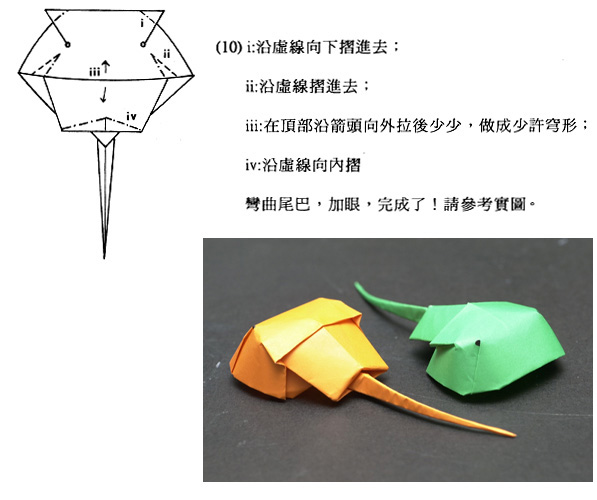  齊 來 摺 隻 馬 蹄 蟹 