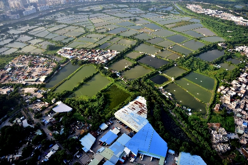  土 地 業 權 及 濕 地 的 用 途2 