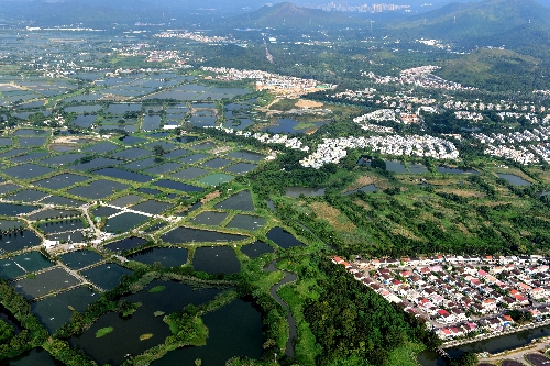  土 地 業 權 及 濕 地 的 用 途1 