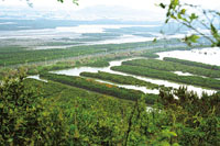 米 埔 基 圍