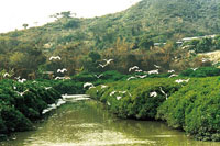 米 埔 基 圍