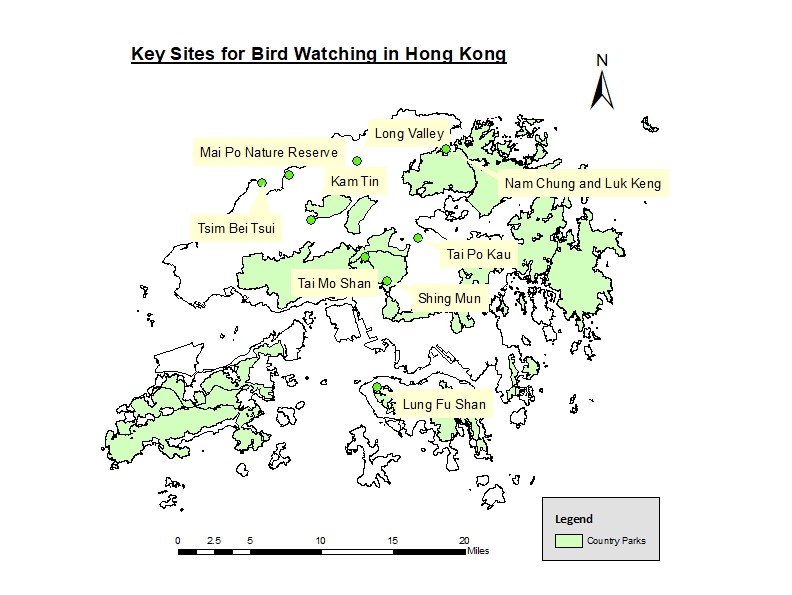 本 港 观 鸟 的 主 要 地 点