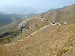 郊 野 公 园